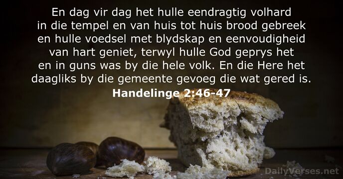 Handelinge 2:46-47