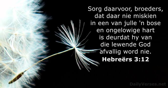 Hebreërs 3:12
