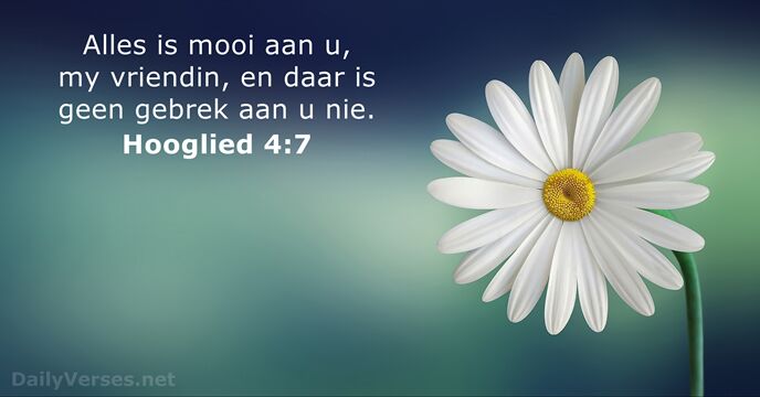 Hooglied 4:7