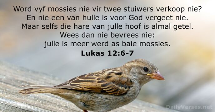 Lukas 12:6-7