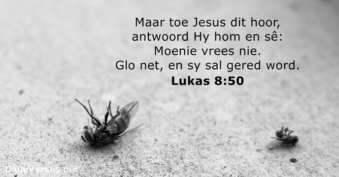 Maar toe Jesus dit hoor, antwoord Hy hom en sê: Moenie vrees… Lukas 8:50