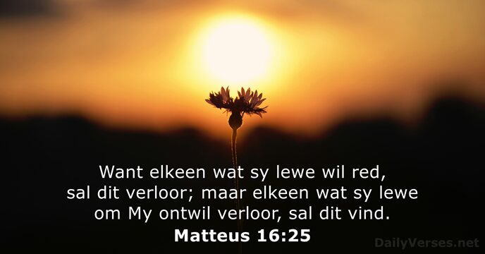 Matteus 16:25