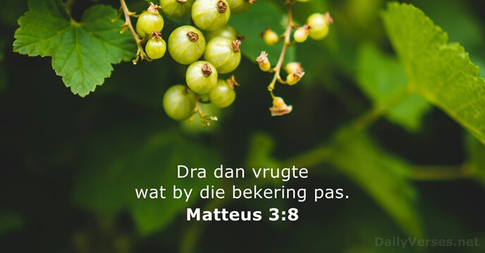 Matteus 3:8