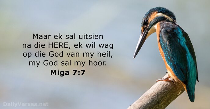 Miga 7:7