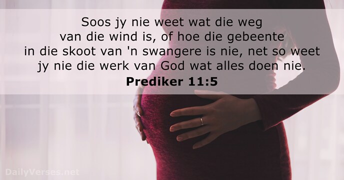 Prediker 11:5