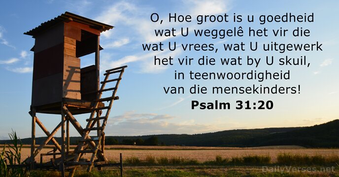 Psalm 31:20