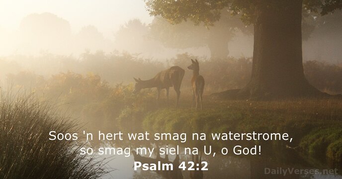 Soos 'n hert wat smag na waterstrome, so smag my siel na… Psalm 42:2