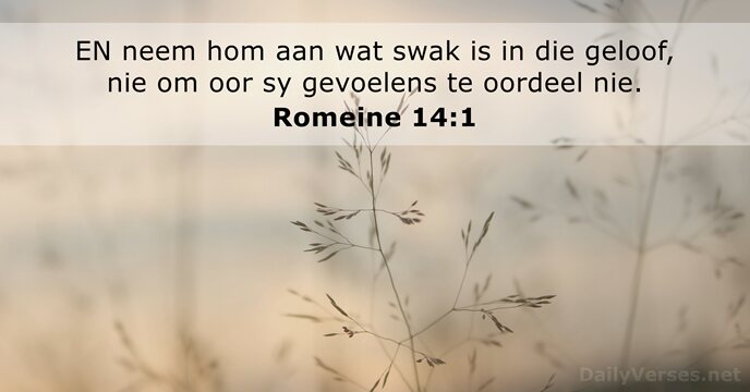 Romeine 14:1