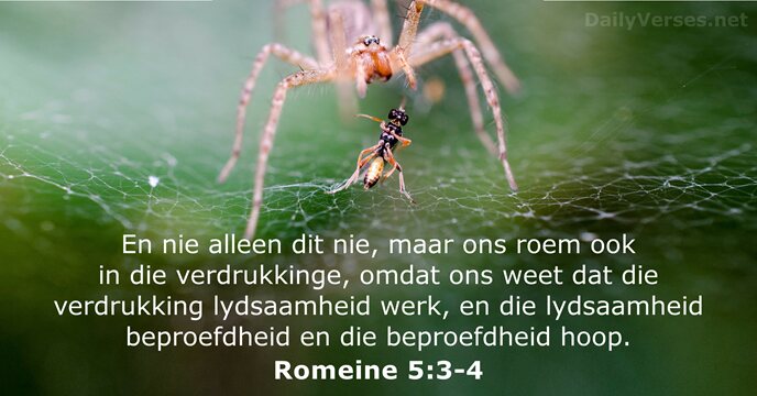Romeine 5:3-4