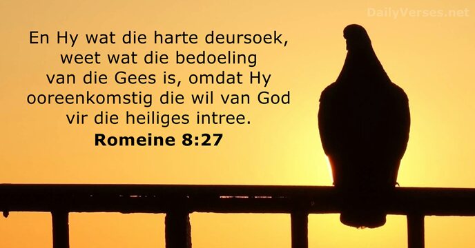 Romeine 8:27