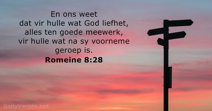 Romeine 8:28