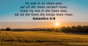Galasiërs 6:8