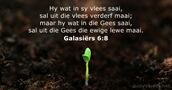 Galasiërs 6:8
