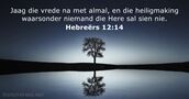Hebreërs 12:14