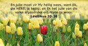 Levitikus 20:26