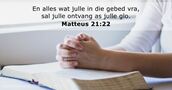 Matteus 21:22