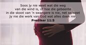 Prediker 11:5