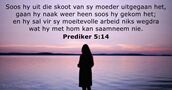 Prediker 5:14