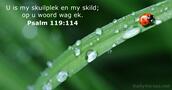 Psalm 119:114