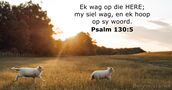 Psalm 130:5