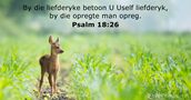 Psalm 18:26