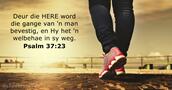 Psalm 37:23