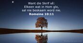 Romeine 10:11