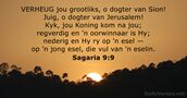 Sagaria 9:9