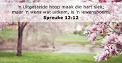 Spreuke 13:12