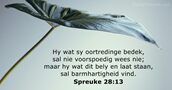 Spreuke 28:13