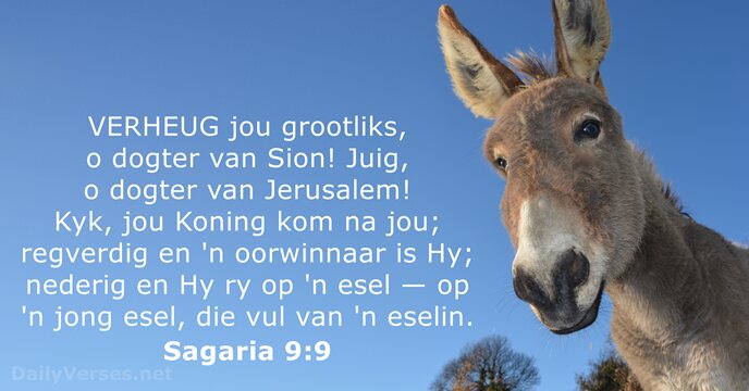 Sagaria 9:9