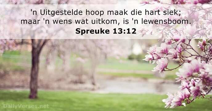 Spreuke 13:12