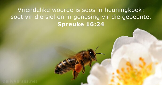 Spreuke 16:24