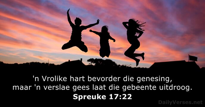 Spreuke 17:22