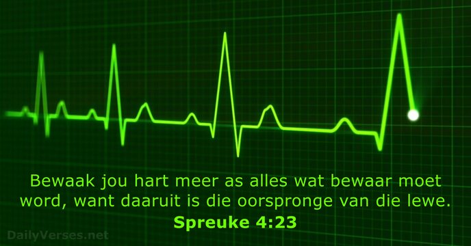 Spreuke 4:23