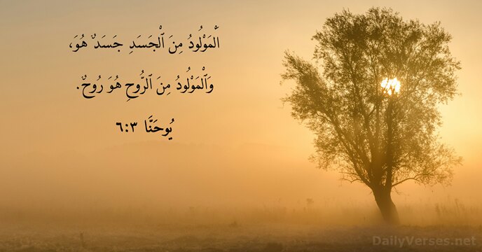 يُوحَنَّا ٣:٦