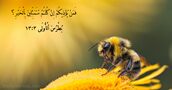 بُطْرُسَ ٱلْأُولَى ٣:‏١٣
