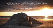 أَعْمَالُ ٱلرُّسُلِ ٤:١١