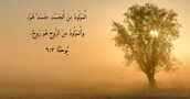 يُوحَنَّا ٣:‏٦