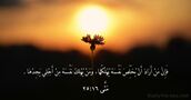مَتَّى ١٦:‏٢٥