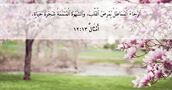 أَمْثَالٌ ١٣:‏١٢