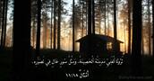 أَمْثَالٌ ١٨:‏١١