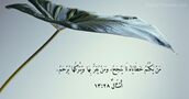 أَمْثَالٌ ٢٨:‏١٣