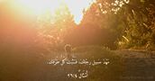 أَمْثَالٌ ٤:‏٢٦