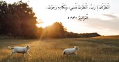 اَلْمَزَامِيرُ ١٣٠:٥