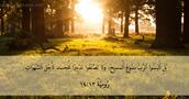 رُومِيَةَ ١٣:‏١٤