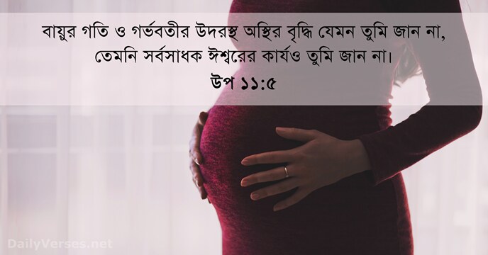 উপ ১১:৫