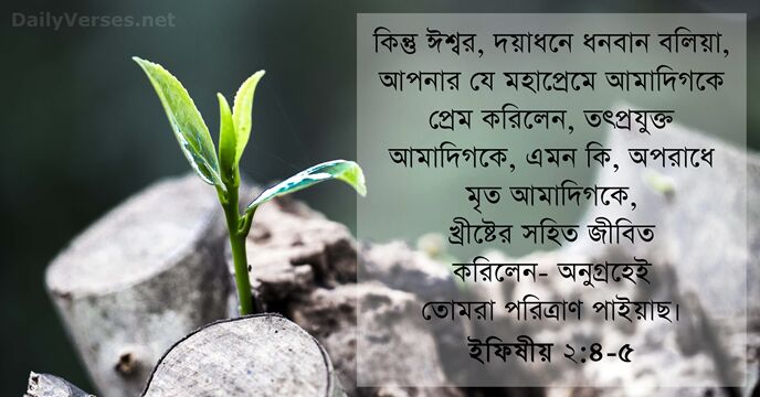 কিন্তু ঈশ্বর, দয়াধনে ধনবান বলিয়া, আপনার যে মহাপ্রেমে আমাদিগকে প্রেম করিলেন, তৎপ্রযুক্ত… ইফিষীয় ২:৪-৫