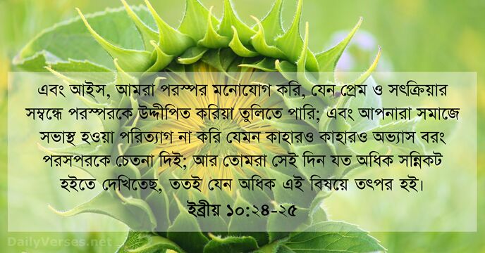 এবং আইস, আমরা পরস্পর মনোযোগ করি, যেন প্রেম ও সৎক্রিয়ার সম্বন্ধে পরস্পরকে… ইব্রীয় ১০:২৪-২৫