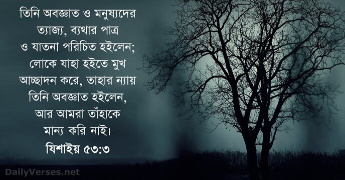 তিনি অবজ্ঞাত ও মনুষ্যদের ত্যাজ্য, ব্যথার পাত্র ও যাতনা পরিচিত হইলেন; লোকে… যিশাইয় ৫৩:৩